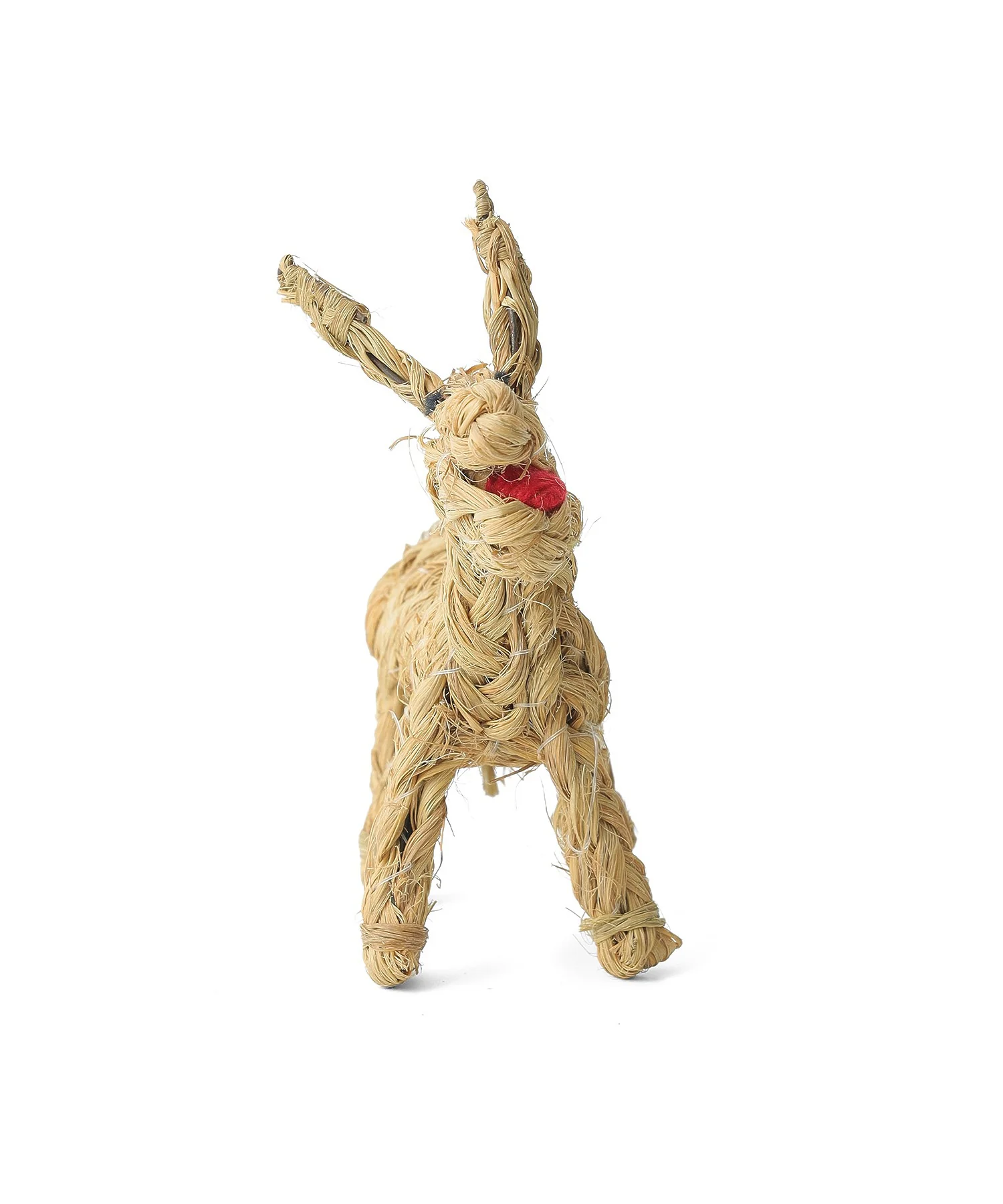 BURRO ESPARTO 14cm - Image 3
