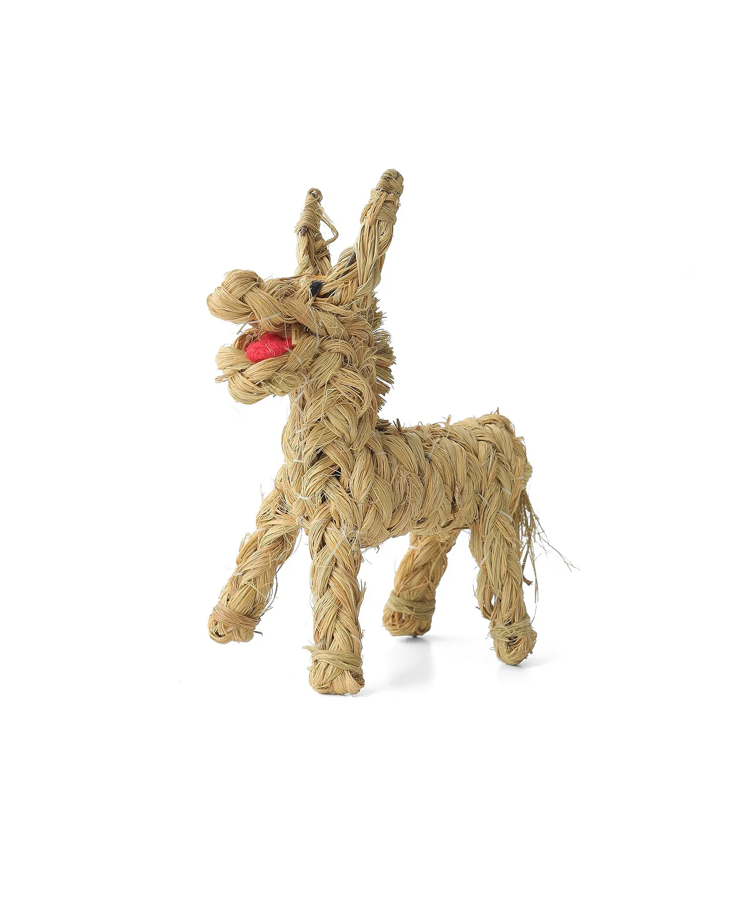 BURRO ESPARTO 14cm - Image 5