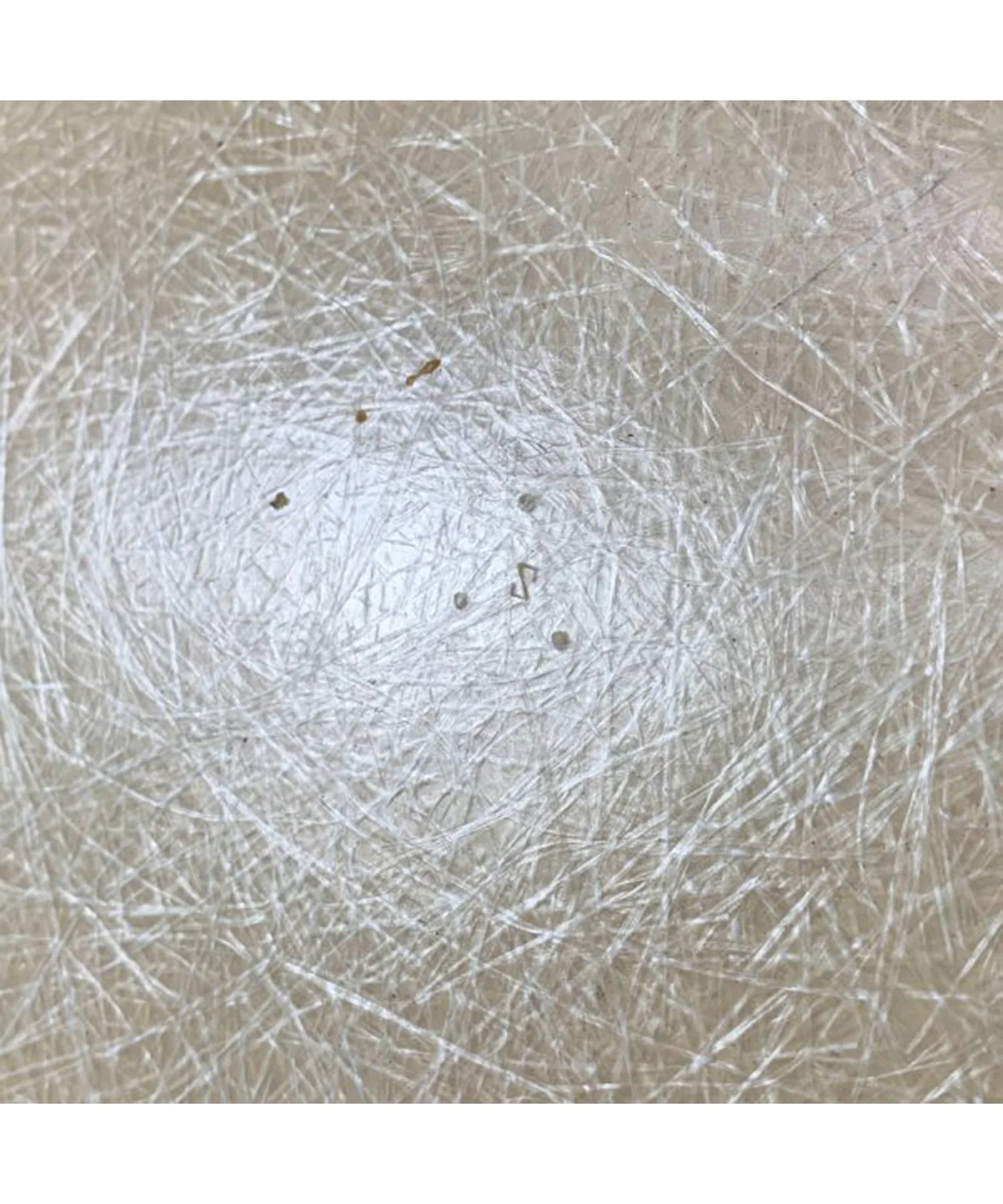 HermanMiller Arm Shell / Perchment - Image 11