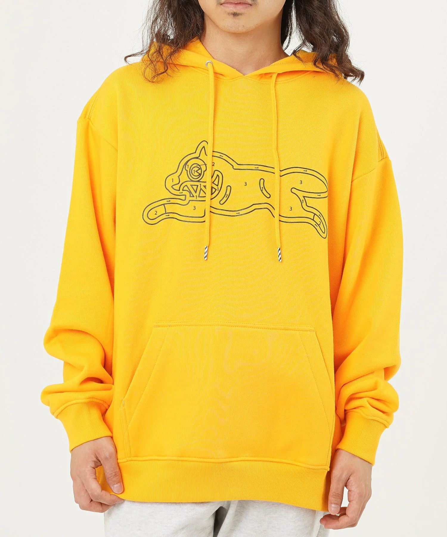 ICECREAM/アイスクリーム/STANDARD HOODIE/431-6304 - Image 19