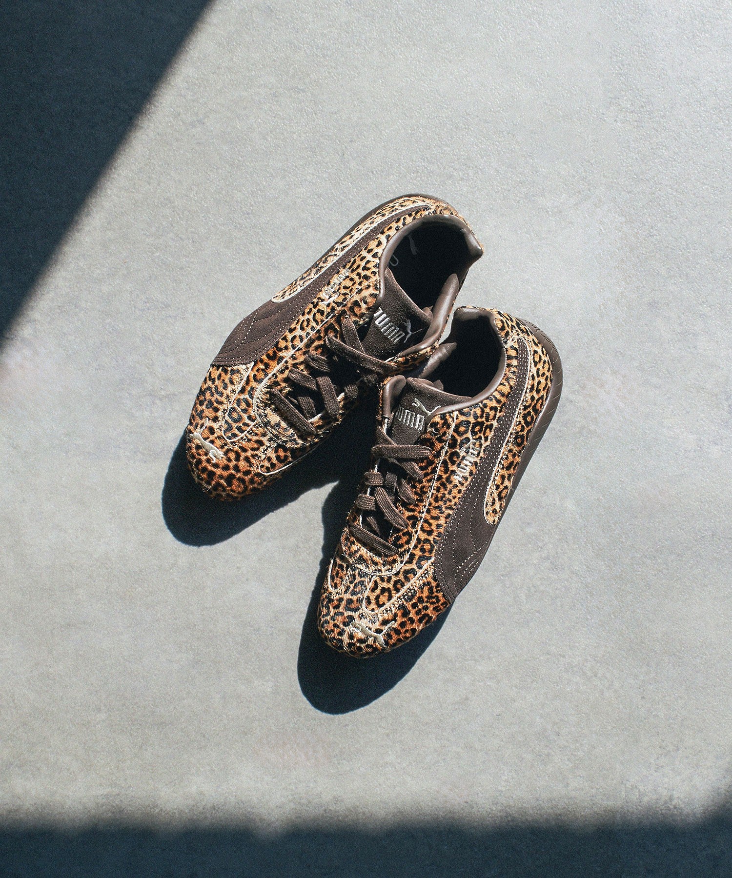 PUMA/SPPEDCAT WILD WNS - Image 8