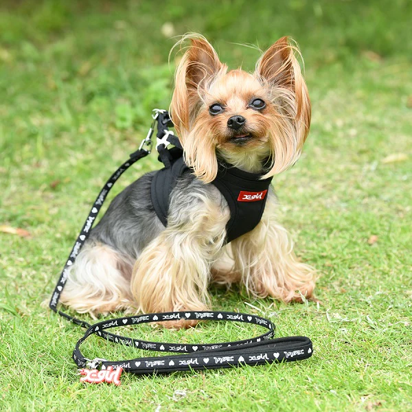 【X-girl DOGWEAR】ボックスロゴ ボディハーネス L - Image 4