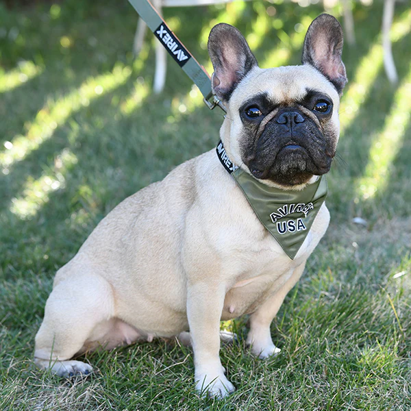 【AVIREX DOG WEAR】MA-1 スカーフ付 S