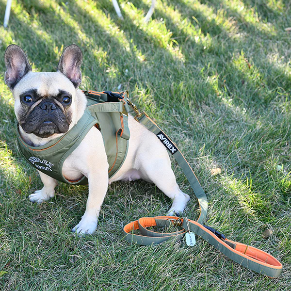 【AVIREX DOG WEAR】MA-1 リード M - Image 5