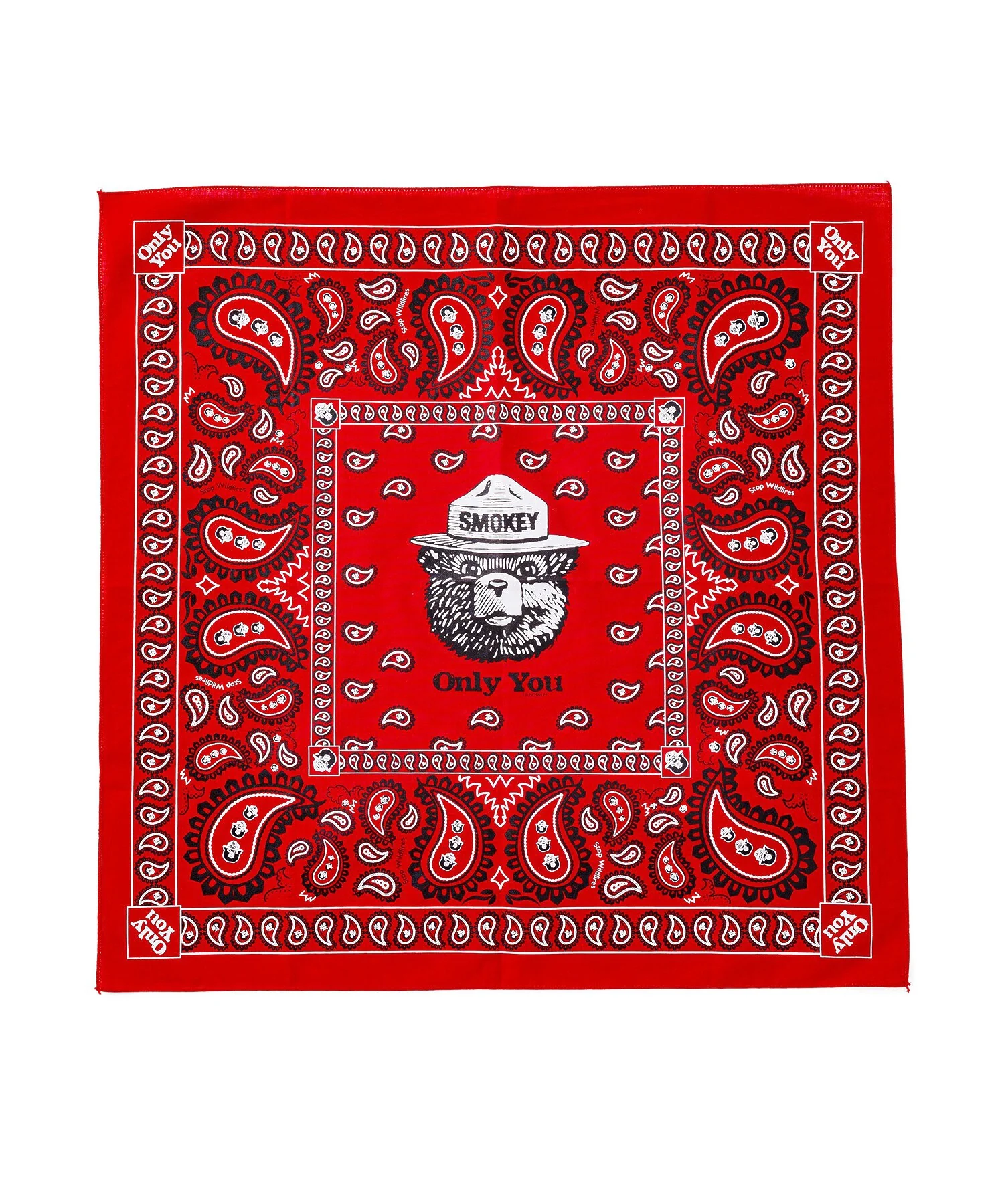 【The Printed Image】ﾈｲﾁｬｰﾌﾟﾘﾝﾄ SMOKEY PAISLEY RED