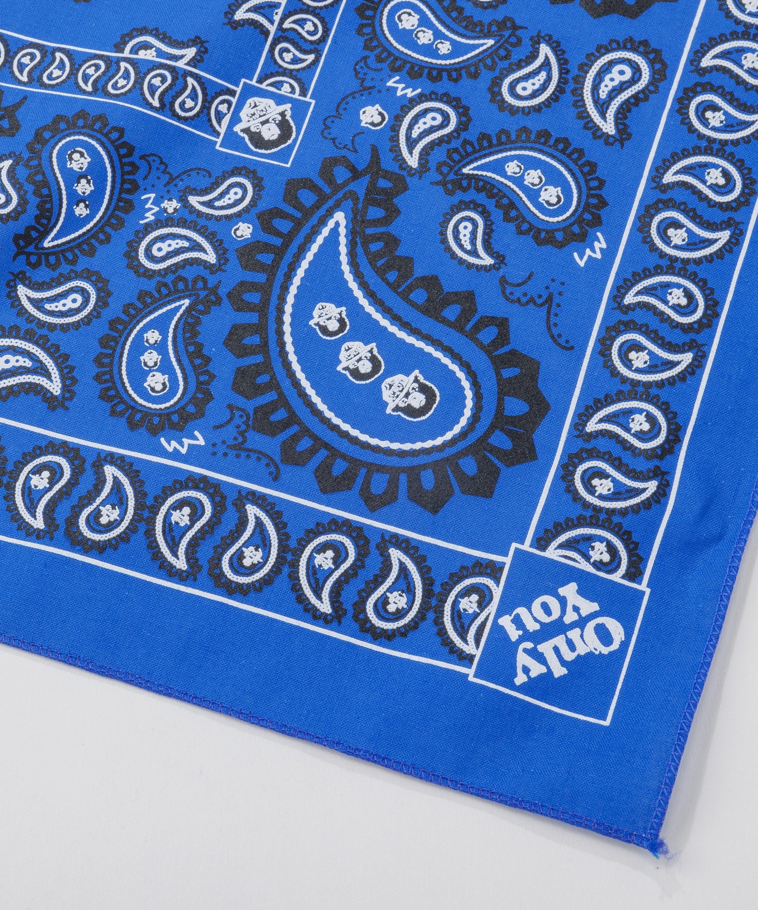【The Printed Image】ネイチャープリント SMOKEY PAISLEY ROY - Image 3